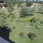 Demori *